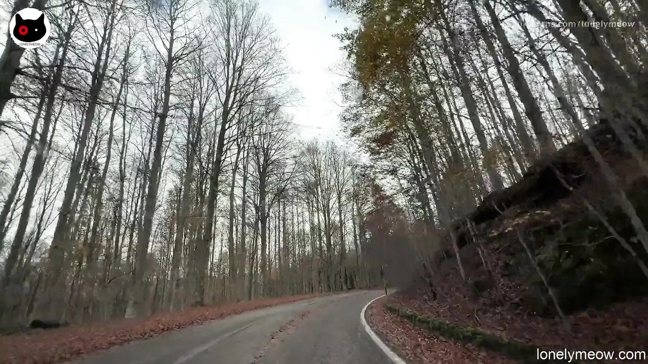 The Mountain Walk And Fuck