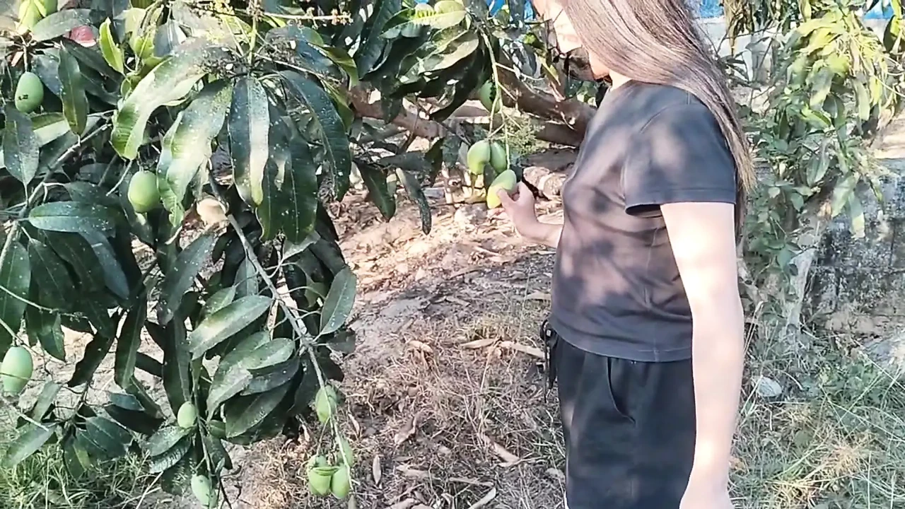 18 Year Old Teen Caught A Farmboy Jerking On Her While Picking Fruits On Tree