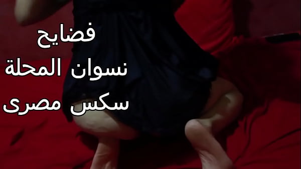 سكس عربي: شرموطة مصرية طيزها ضخمة عايزة تتناك
